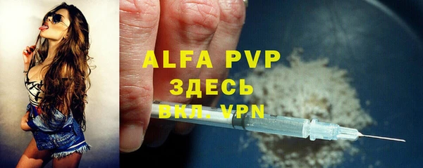 крисы Гусев