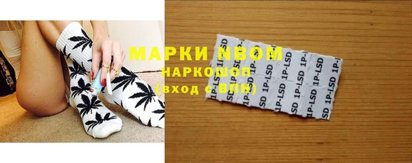 крисы Гусев