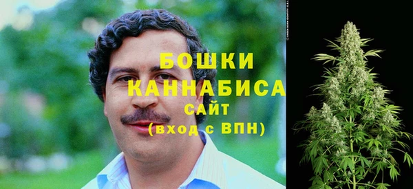 крисы Гусев