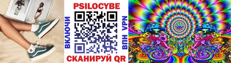 blacksprut зеркало  Отрадная  Псилоцибиновые грибы MAGIC MUSHROOMS 